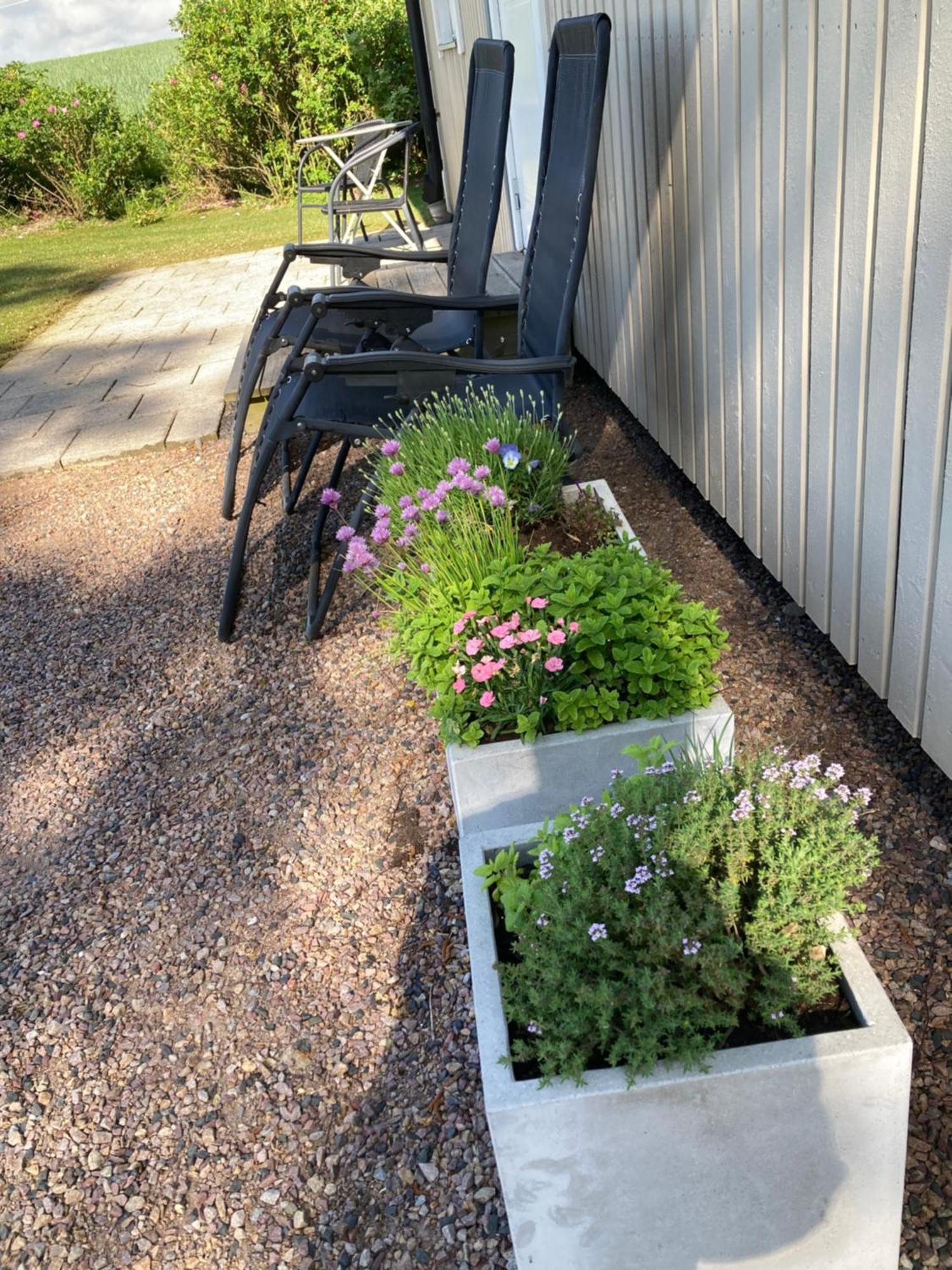 Slimmingegarden 1019 Villa Skurup Exterior photo